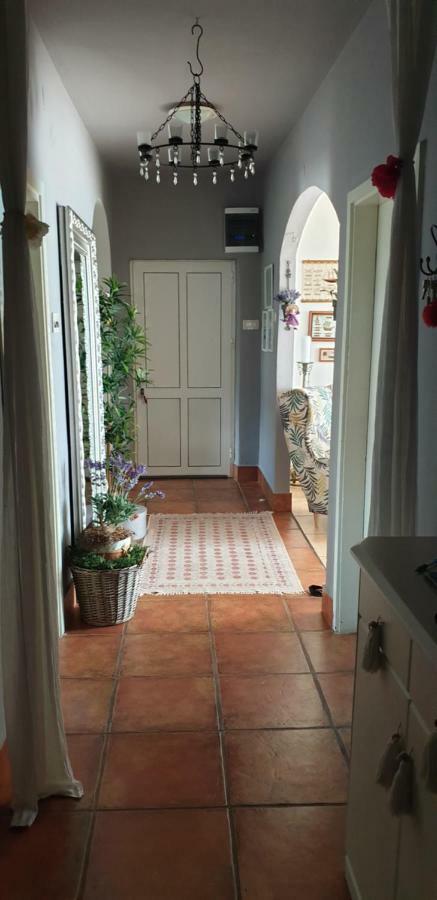 Apartman Felice ستاريغغاد باكلينتسا المظهر الخارجي الصورة